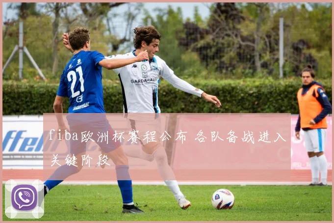 fiba欧洲杯赛程公布 各队备战进入关键阶段