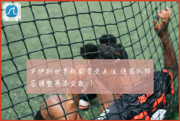 罗伊斯世界杯前景受关注 德国队阵容调整再添变数_1